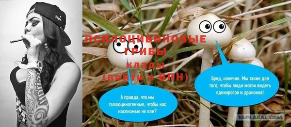 наркотики Карпинск